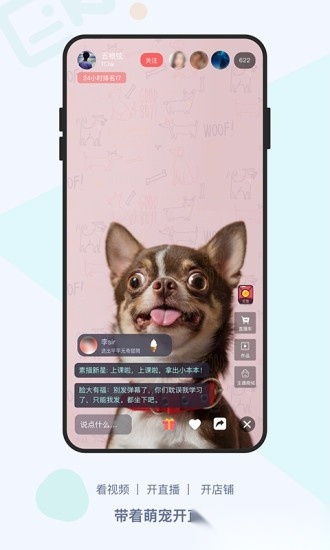 龙平台影视手机免费版图1