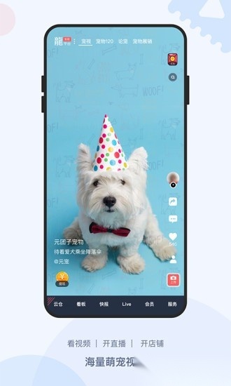 龙平台影视手机免费版图3