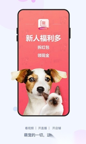 龙平台影视手机免费版图4