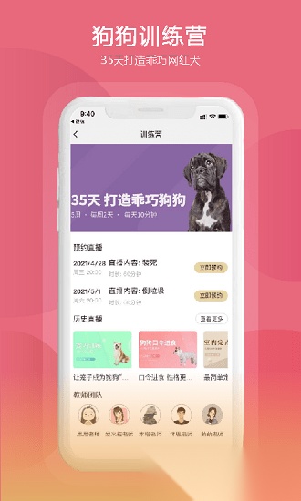 狗狗研究社官方最新版图3