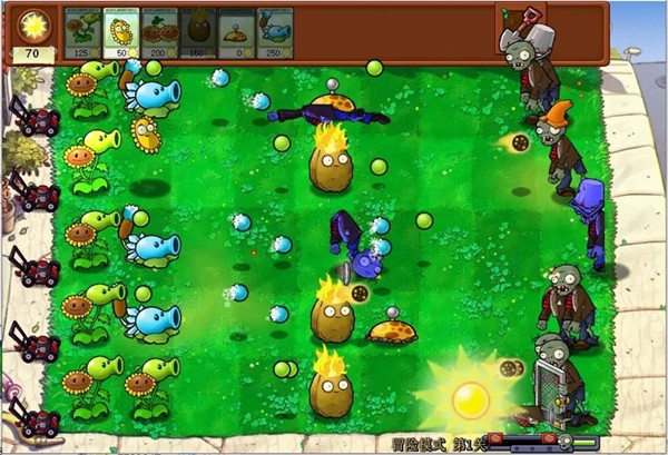 pvz杂交版