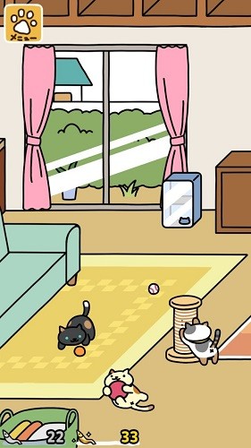 猫咪后院2-图1