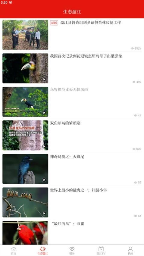 盈江云