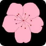 桃花视频