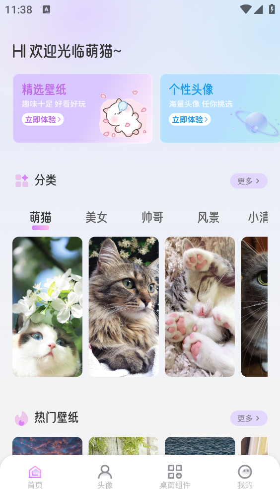 萌猫派对壁纸图1