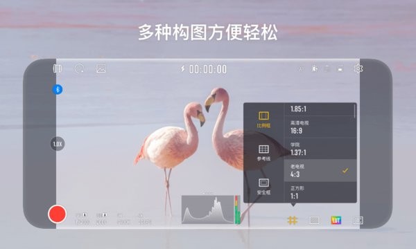 StaCam新版