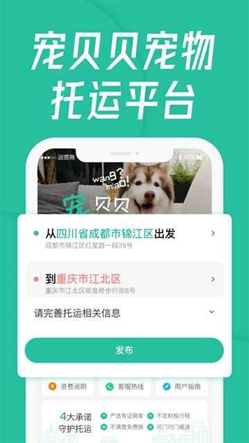 宠贝贝宠物托运平台最新版图1