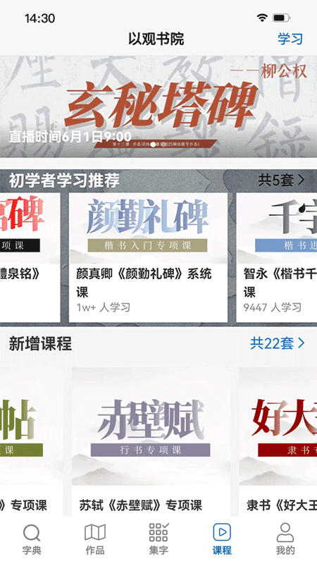 以观书法图3