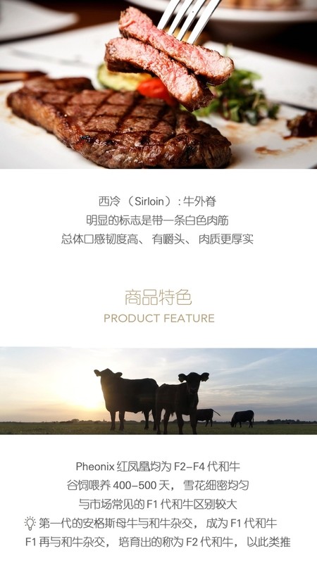 普冷库购(2)