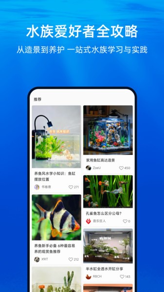 当贝鱼缸图2