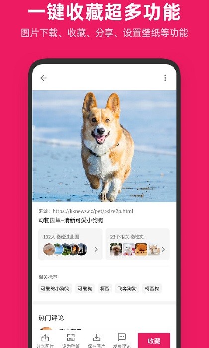 图片搜搜图3