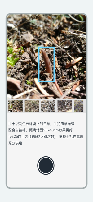 乐见虫草手机版图1