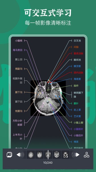 万康人体解剖软件图4