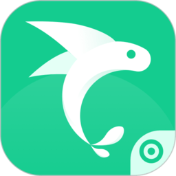 飞鱼专注官方版 V1.0.17