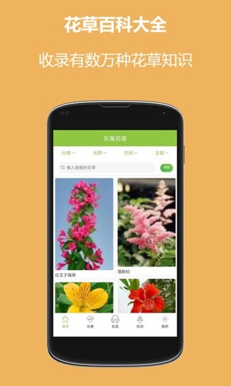 东篱花草官方版图1
