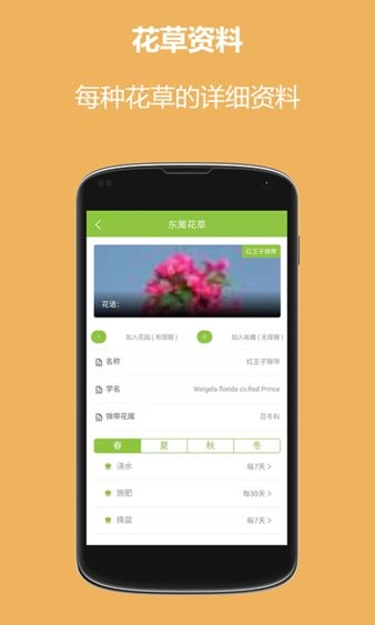 东篱花草官方版图3