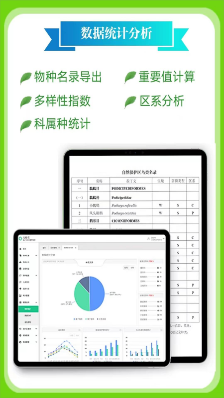 北极花生物调查(1)