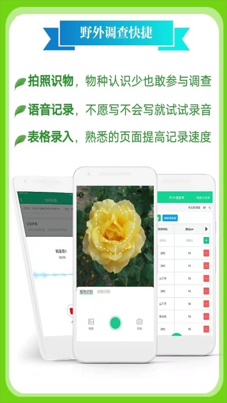 北极花生物调查(4)