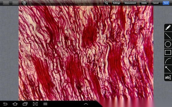 MotiConnect 图1