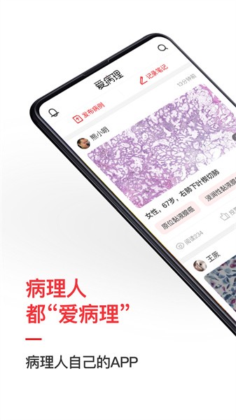 爱病理软件