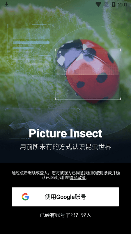 picture insect(拍照昆虫识别)图2