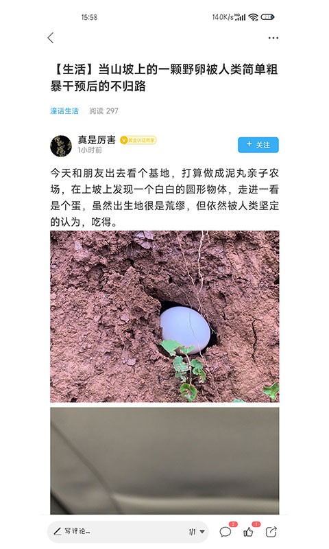 重庆潼南论坛发布免费版图4