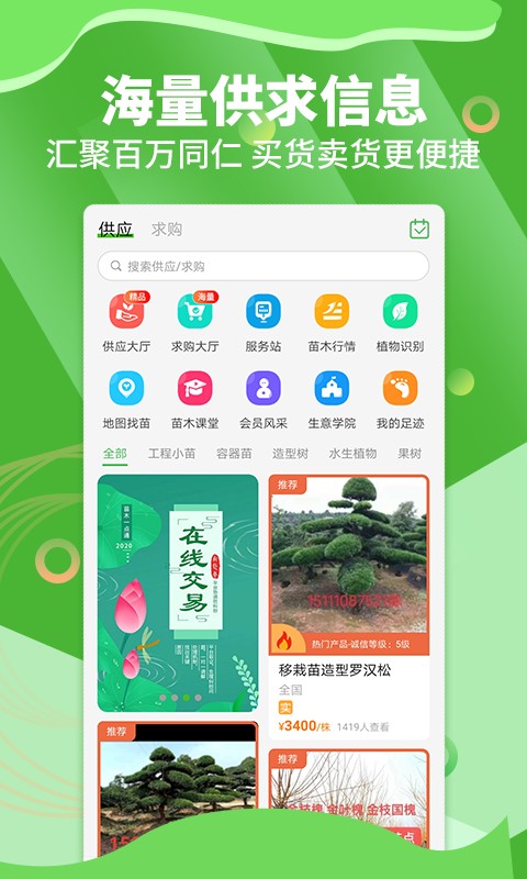 苗木通原版图1