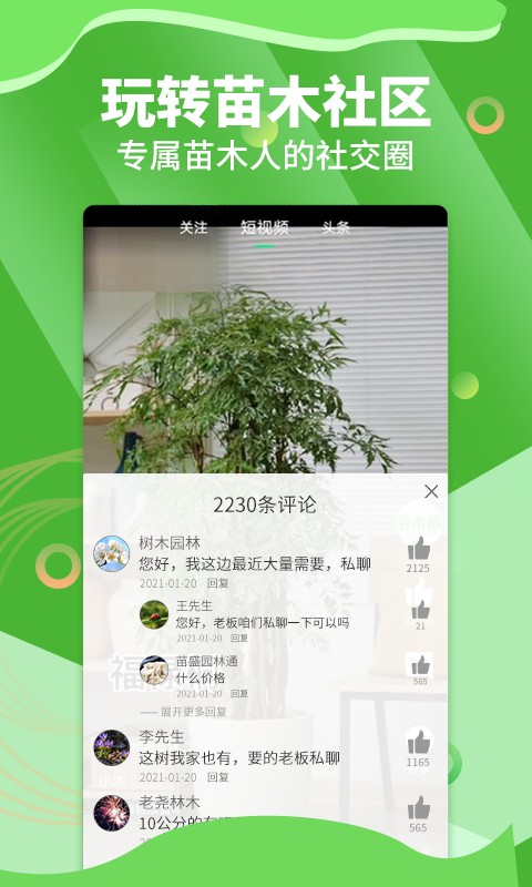 苗木通原版图3