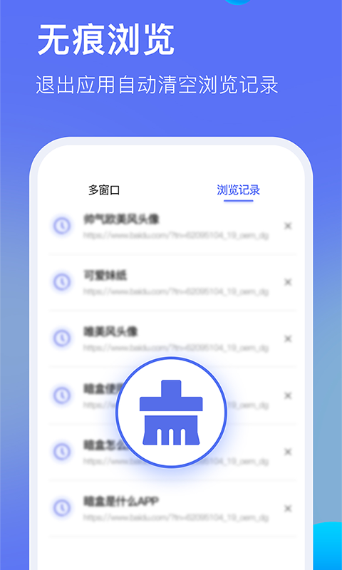 暗盒浏览器图1