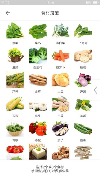 掌厨网