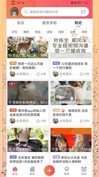 懒洋葱软件无广告版图3