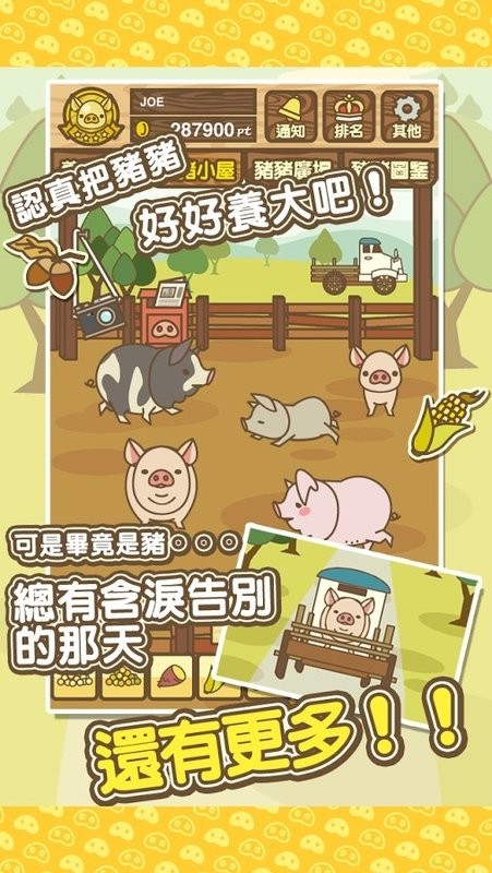 养猪场mix最新版图3