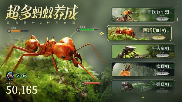 37小小蚁国官方正版图2