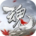 魂之追梦直装版