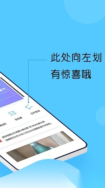 中鸽网赛事直播平台原版图1