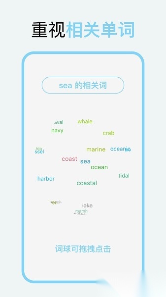 向量单词软件安卓直装版图2