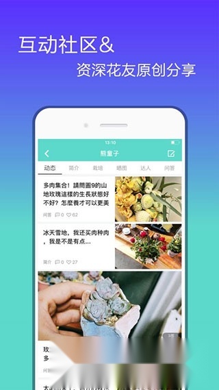 花信(花卉种植知识大全)图2