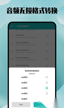 格式转换大师(格式转换宝)官方正版图1