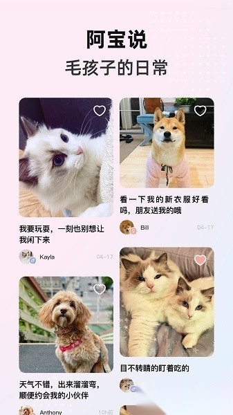 阿宝说安卓版图4