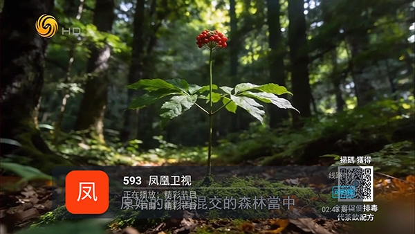 易发TV手机正版图4