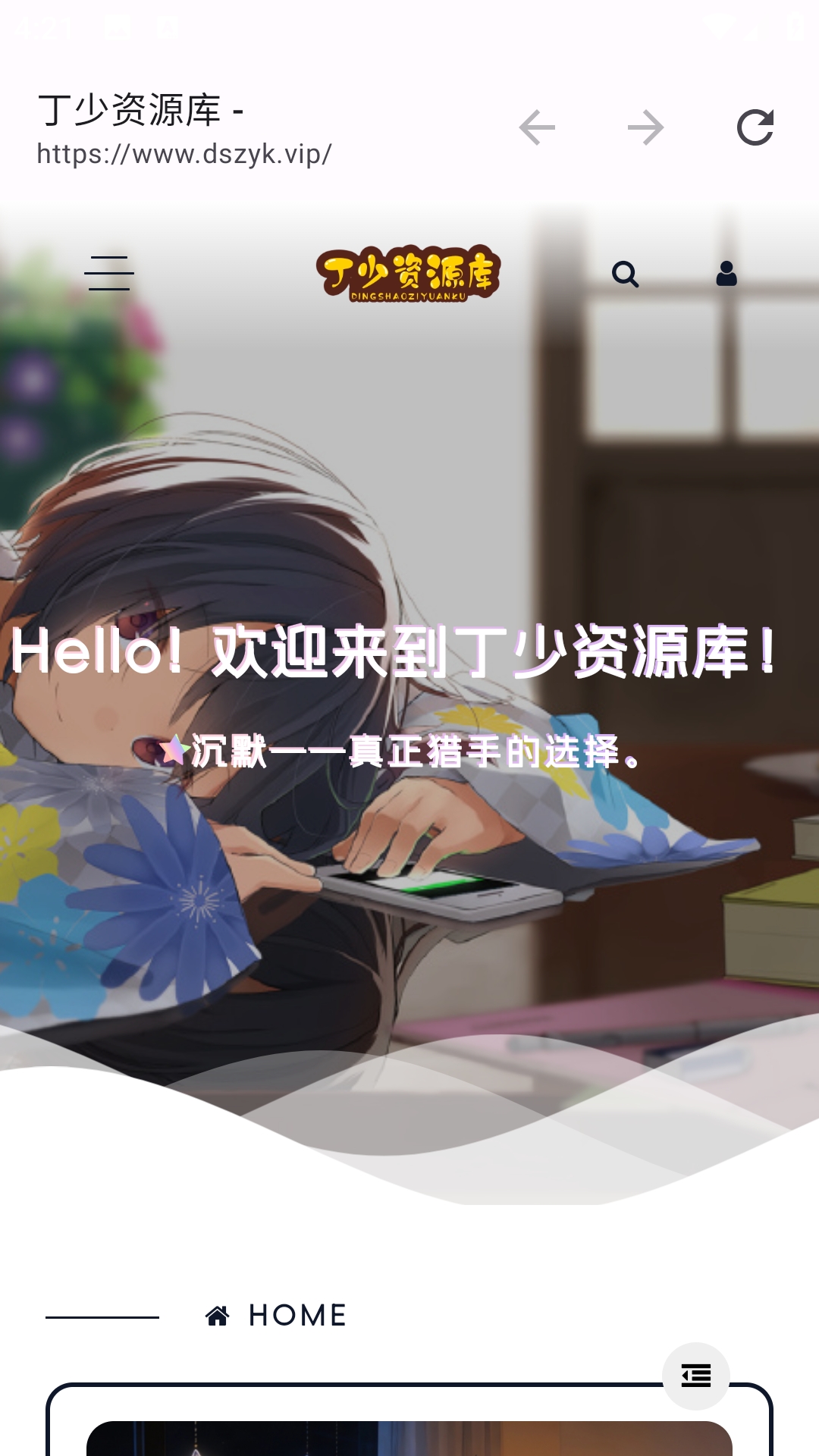 丁少资源库手机版图2