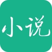 知妃小说正版