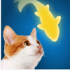 catfishing