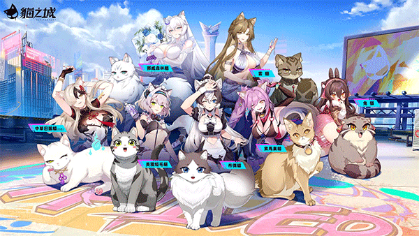 猫之城手游免费版
