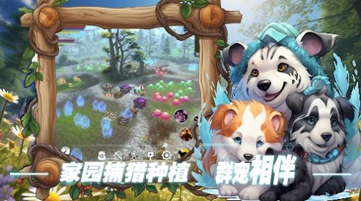 双生圣王手游无广告版