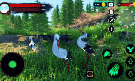 丹顶鹤模拟器(The White Stork)游戏完整版