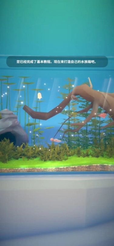 水族馆游戏无广告版(2)