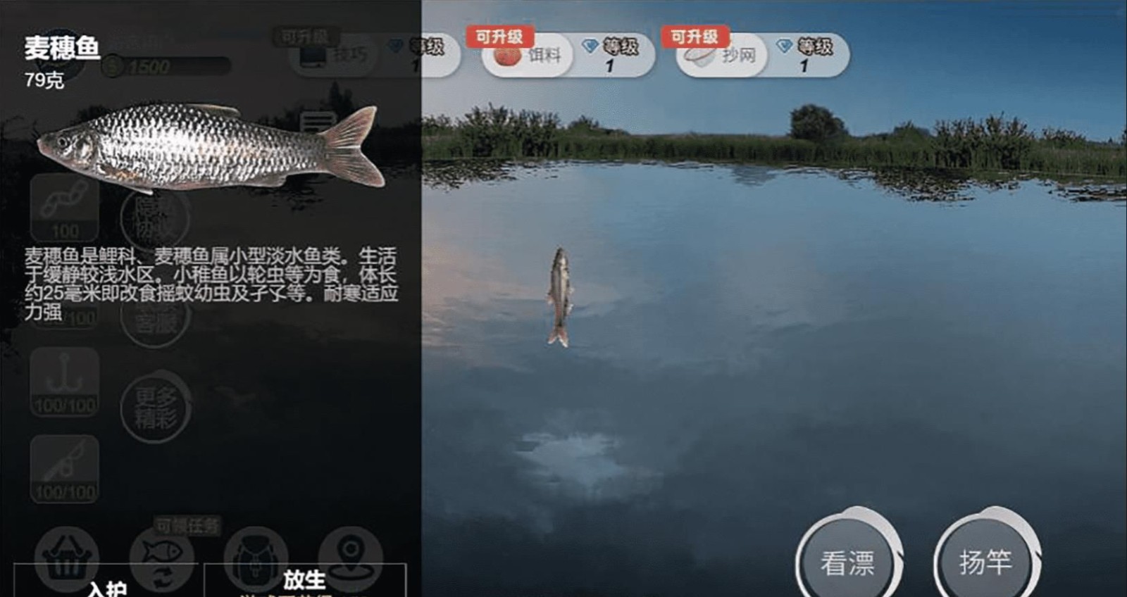 钓鱼绝不空军正版