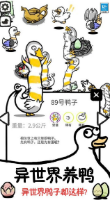 鸭了个鸭安卓版
