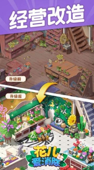 花儿点点消手机免费版
